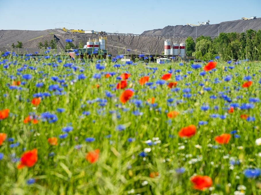 bogdanka-20210609-28_mini Cropped.jpg